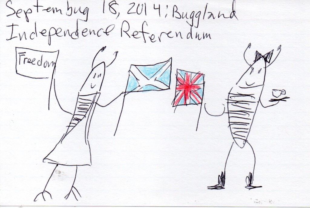 buggland independence [click to embiggen]